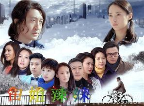 田姐辣妹电视剧,姐妹情深，辣味人生